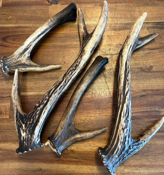 Organic Deer Antler Chews